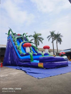संगमरमर की दीवार मशरूम साम्राज्य पूल के साथ inflatable पानी स्लाइड