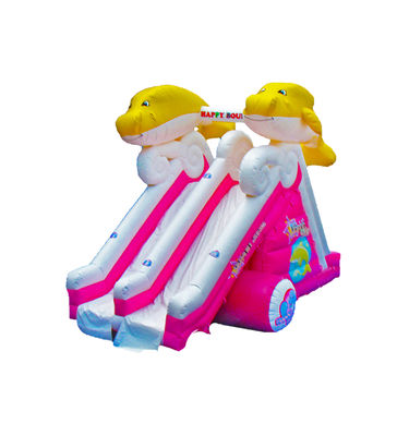 बच्चों के लिए डॉल्फिन डबल लेन inflatable स्लाइड मज़ा पार्क