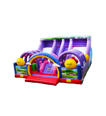 कस्टमाइज़ करें बड़े दो लेन स्लाइड्स बैंगनी inflatable बाउंसर स्लाइड