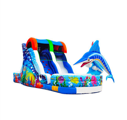समुद्र मनोरंजन पार्क और पिछवाड़े की पार्टियां inflatable slides